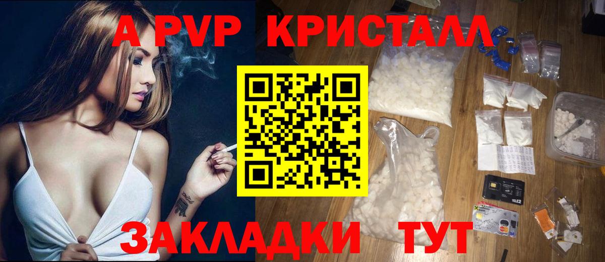 Альфа ПВП СК Химки