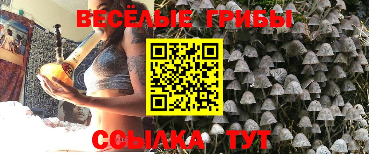 Псилоцибиновые грибы Psilocybine cubensis Химки