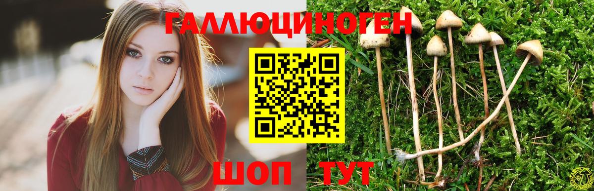 Химки  сколько стоит  Вход с VPN  Галлюциногенные грибы Cubensis  Псилоцибиновые грибы Magic Shrooms 